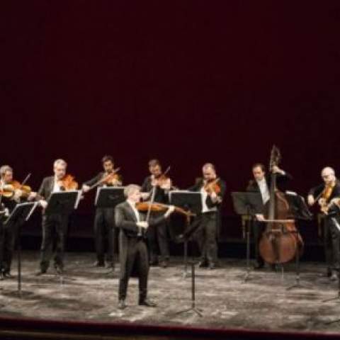 concerto con viola d'amore