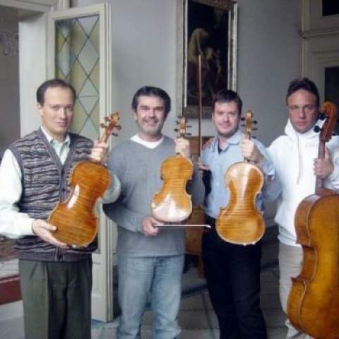 con gli strumenti del museo di Cremona (viola Amati)